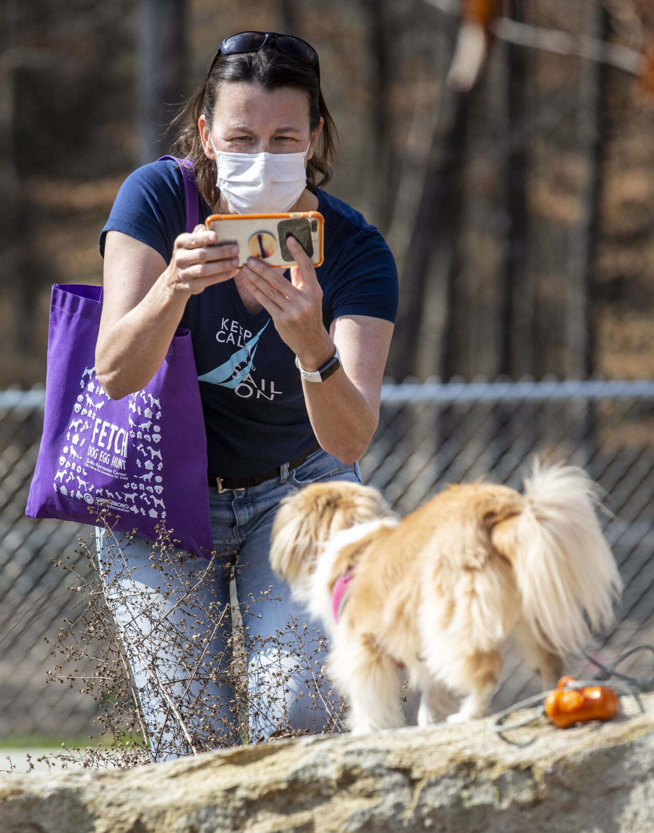 Dog Easter Eggs